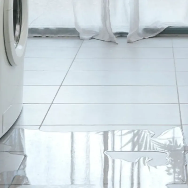 Appliance Leak Cleanup in Independence, KY
